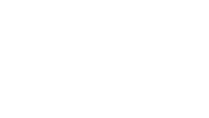 ausff logo